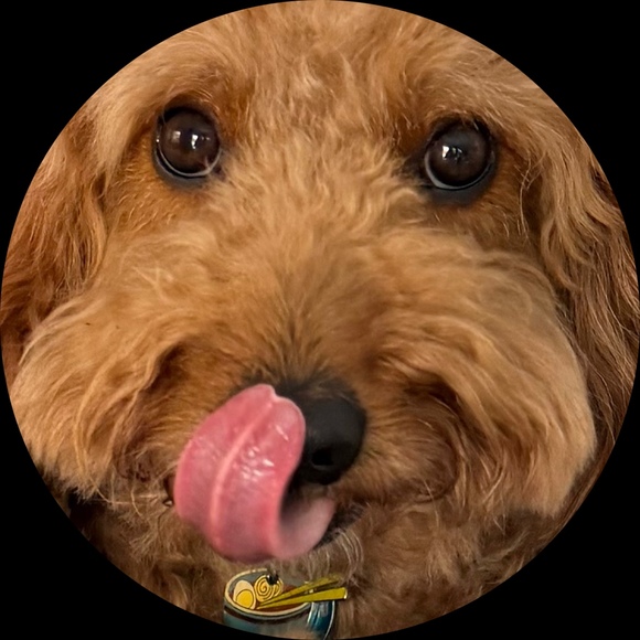 vlhay